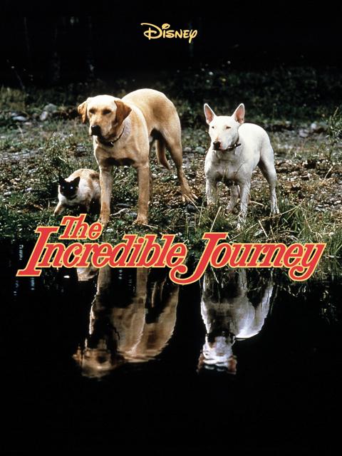 The Incredible Journey