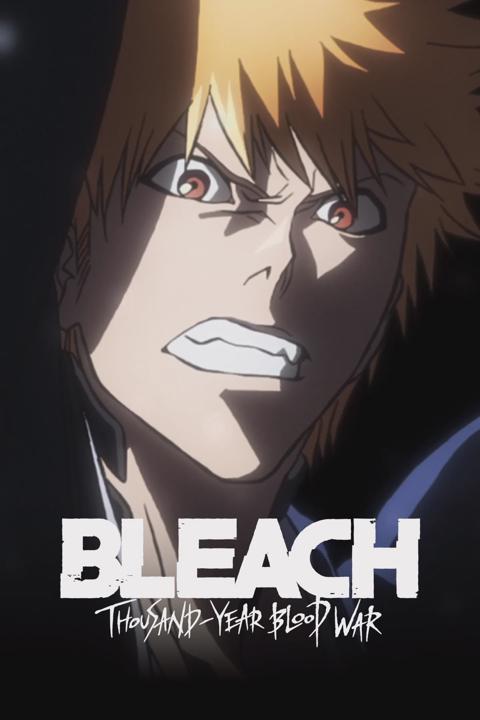 Bleach