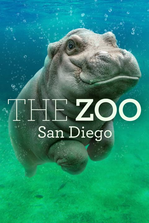 The Zoo: San Diego