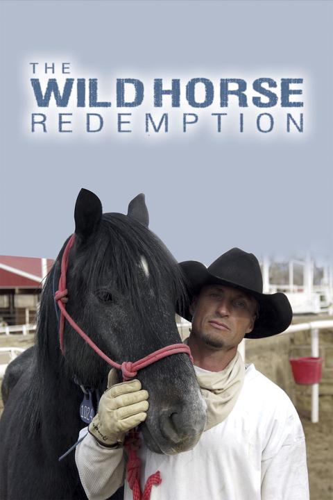 The Wild Horse Redemption
