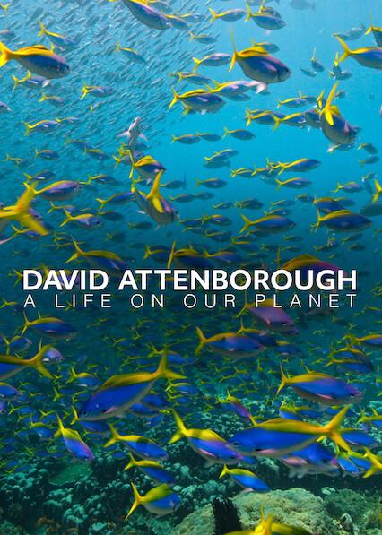 David Attenborough: A Life on Our Planet