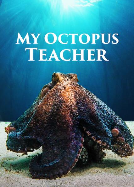 My Octopus Teacher