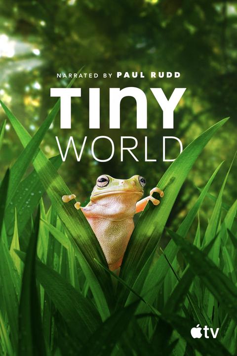 Tiny World