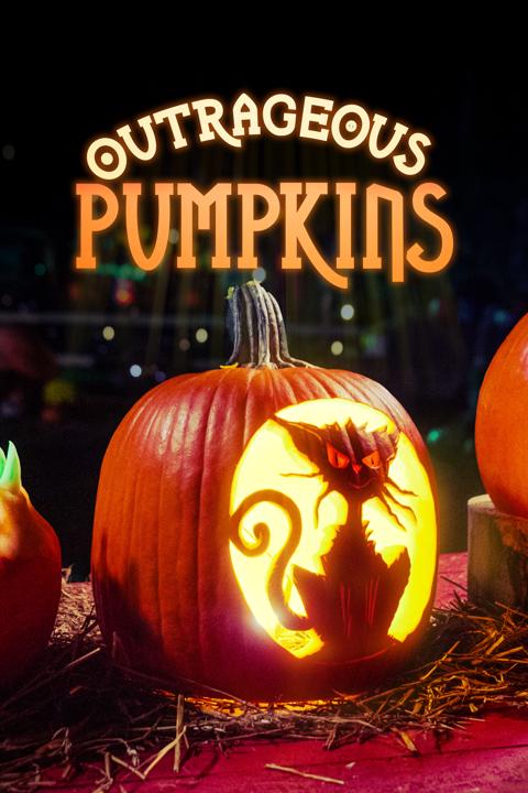 Outrageous Pumpkins