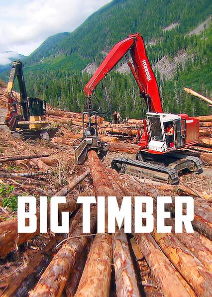 Big Timber