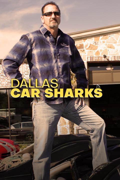 Dallas Car Sharks