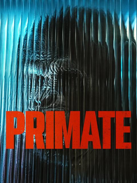 Primate