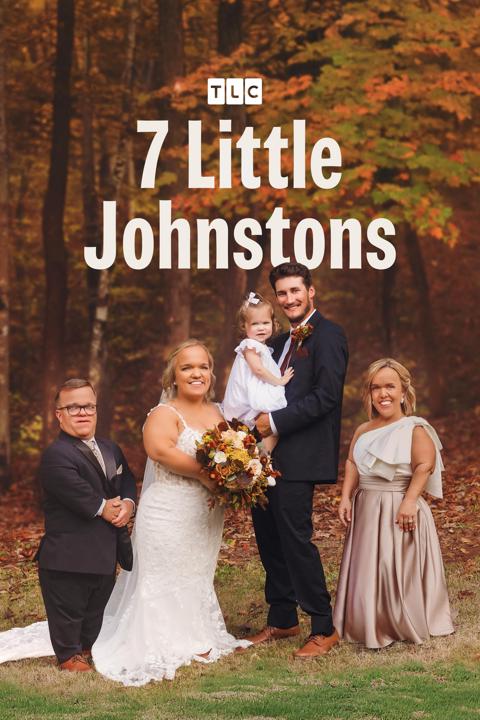 7 Little Johnstons