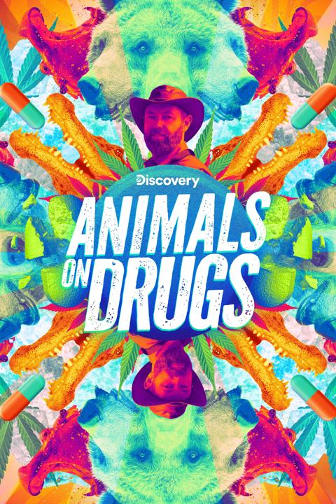 Animals on Drugs